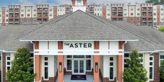 The Aster Gallery 1