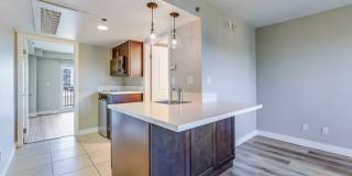 Bayview Tower Gallery 16