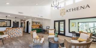 Athena Athena Gallery 36
