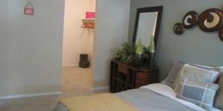 Sierra Vista Gallery 39