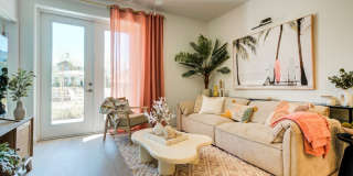 Welcome Canary Gallery 3