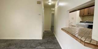 2 Bedroom- 20169 Ash Ln in Lynwood, IL Gallery 4