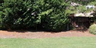 COMING SOON!!! Beautiful 2 Story, 2 Bedroom Townhome in Christenbury Gallery 25