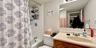 NIce 4 bed in Mission Hill Gallery 25