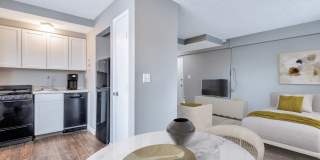 Lofts on Ormsby Gallery 3