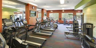 Regency Woods Gallery 16