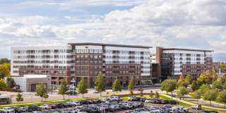 Fellow at Fitz Gallery 46