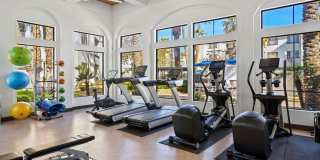 Serafina Luxury Apartments Gallery 7