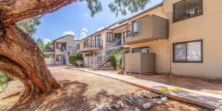 Mountain Steppes Gallery 19