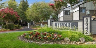 Hazel Ranch Gallery 24