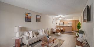 Portola North Phoenix Gallery 1