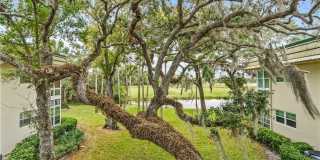 11 VISTA GARDENS TRAIL 204 Gallery 2