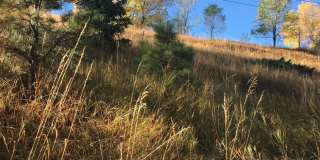 Lovely S. Boulder 5BD House on Open Space - Available June 1st! Gallery 18