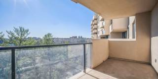 1101 South Arlington Ridge Road #806 Gallery 7