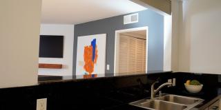 2016 Euclid St Gallery 7