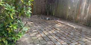 Convenient 3 beds, 2.5 bath in Ballard Gallery 14