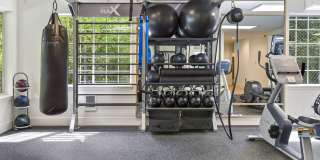 Lakemont Orchard Gallery 15