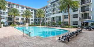 Paraiso at Fountain Square Gallery 9