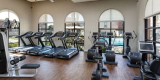 Avalon Vista Gallery 22