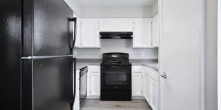 Sandalwood Garden Gallery 18