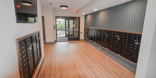 Verdant Gallery 25