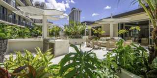 Lilia Waikiki Gallery 10