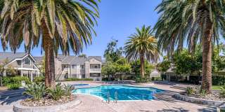 2-Bedroom/2 bath near Almaden Lake! - $3,400/mo Gallery 22