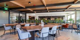 Lyric Sugar Hill Apartments Gallery 23