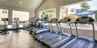 Serramonte Ridge Gallery 15