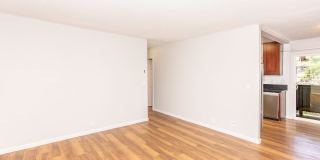 Ocean Vista Gallery 42