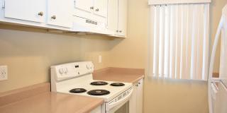 Village of the Pines Village of the Pines Gallery 16