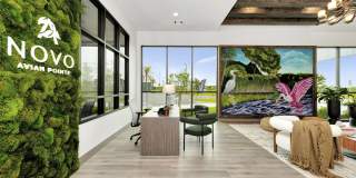 NOVO Avian Pointe Gallery 10