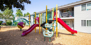 Avana Evergreen Gallery 52