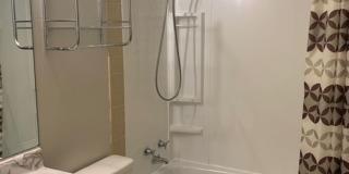 $1195 | 2BD 1 BA | 822 Dwight St | Available 7/15/26 Gallery 14