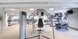 Wexford Village Gallery 26