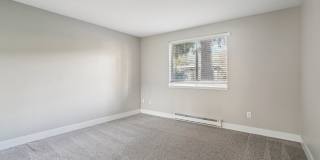 Campbell Run Gallery 6