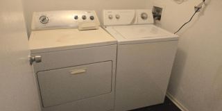 3194 Coral Lake Lane Gallery 17