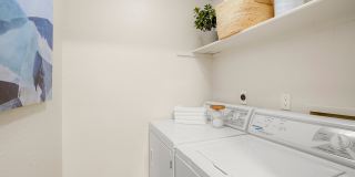 Sofi Belmar Gallery 10