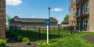 Stafford House Gallery 5