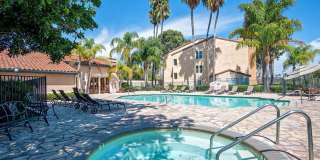 Delightful 2 Bedroom 2 Bath Condo in UTC Gallery 17
