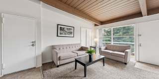 Belcrest Plaza Gallery 45