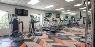 Waterscape Gallery 26