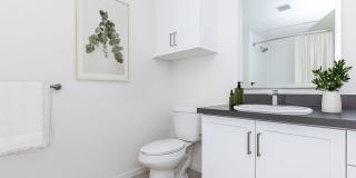 Vineyards Gallery 147