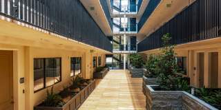 The Arden Gallery 6