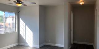 Showings Available NOW Gallery 5
