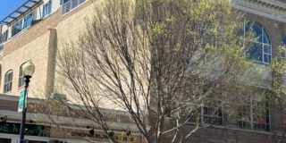 Stunning Views from this Spectacular and Stylish Penthouse in heart of Adams Morgan with PARKING. Gallery 43