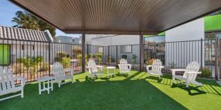 Arcadia on 49th Gallery 22