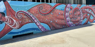 1305 Locust Drive Gallery 36