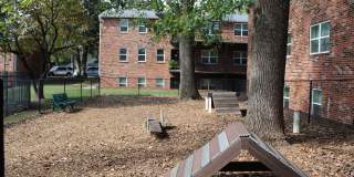 Windsor Court Gallery 19