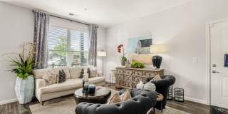 Duncan Park Gallery 2